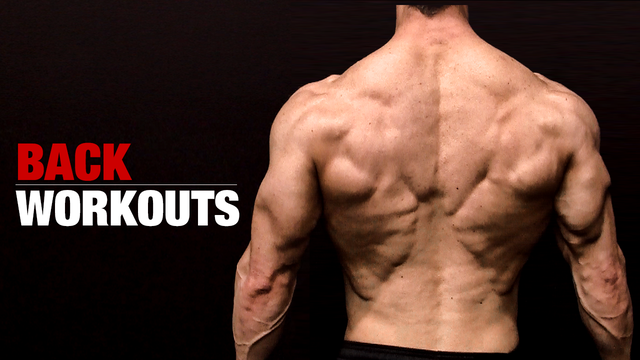 Back and Bicep Workouts: A Beginner's Guide