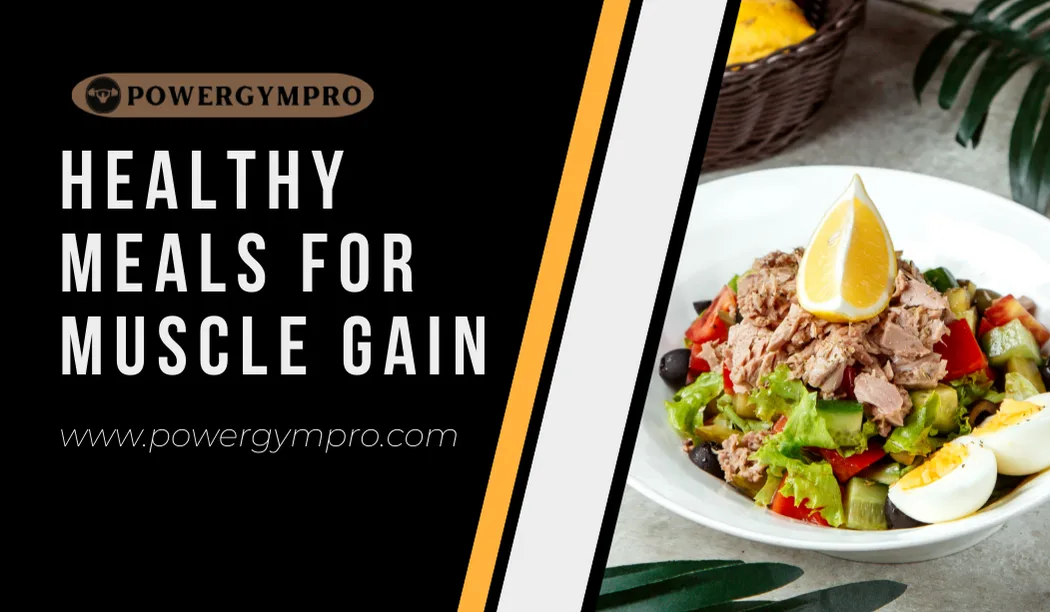 Best Healthy Meals for Muscle Gain: 2026 High-Protein Guide